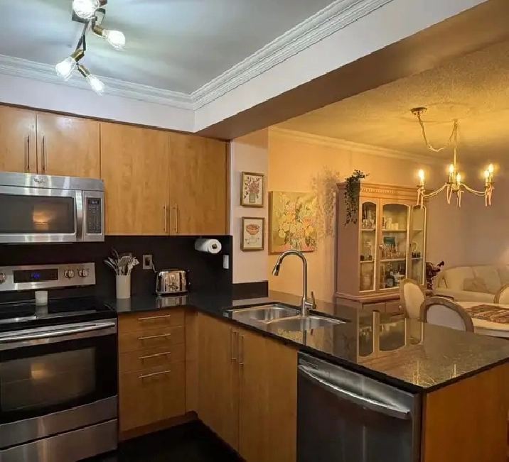 furnished 1 1 Condo with 1 parking space for rent Richmond Hill