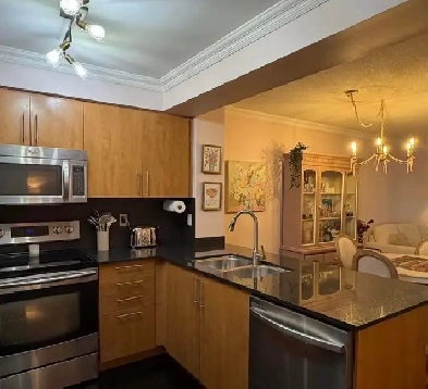 furnished 1 1 Condo with 1 parking space for rent Richmond Hill