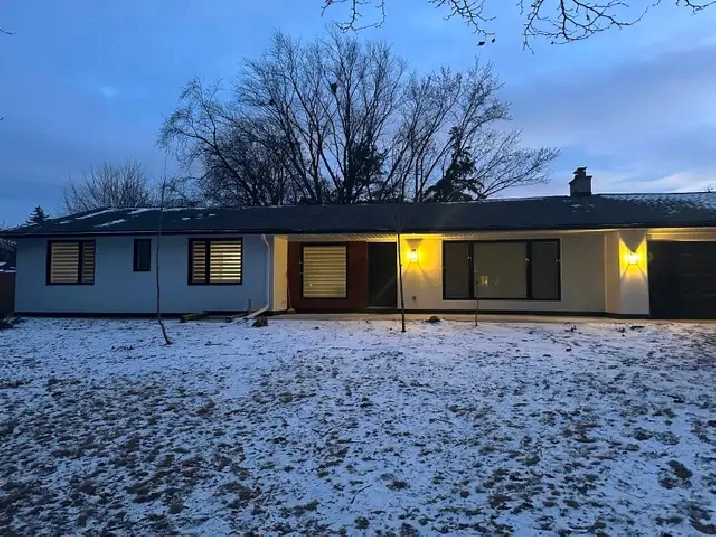 Basement suit for Rent