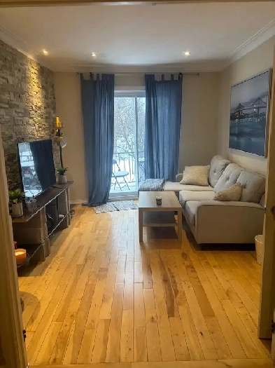 Beau 41/2 rénové  face au parc Beaubien à Rosemont