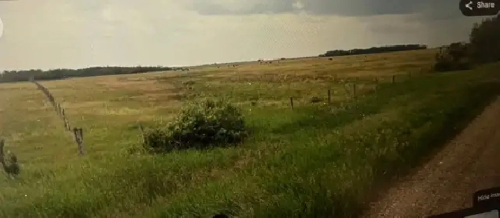 Land for sale by Tender