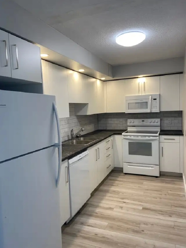 NEWLY RENOVATED ONE BEDROOM AVAILABLE AT 40 ROSE STREET