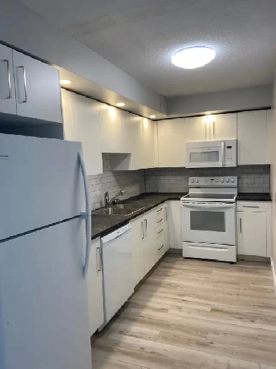 NEWLY RENOVATED ONE BEDROOM AVAILABLE AT 40 ROSE STREET