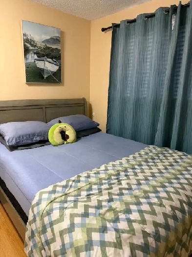 Room available for rent