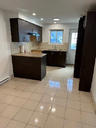 4.5 A MONTREAL-NORD COMPLÈTEMENT RÉNOVÉ ET TRANQUILLE