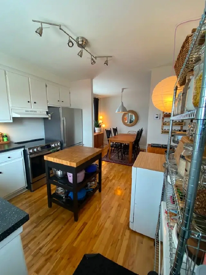 Hochelaga Maisonneuve, 4 1/2 Métro Pie-IX