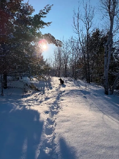 5 Acres on Long Lake Road