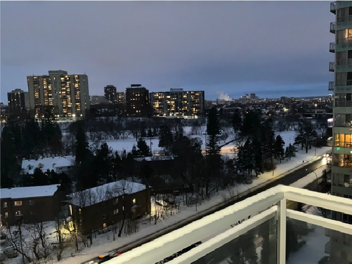 Spacious 1-bedroom 1-bathroom condo for rent in Beechwood Ottawa