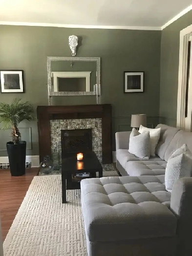 Large One Bedroom plus Den in Century Home