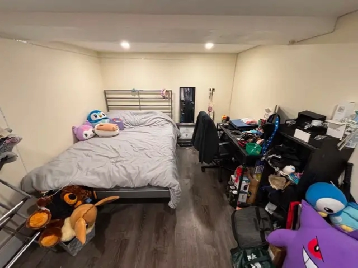 Furnished room summer or one year rental downtown Toronto