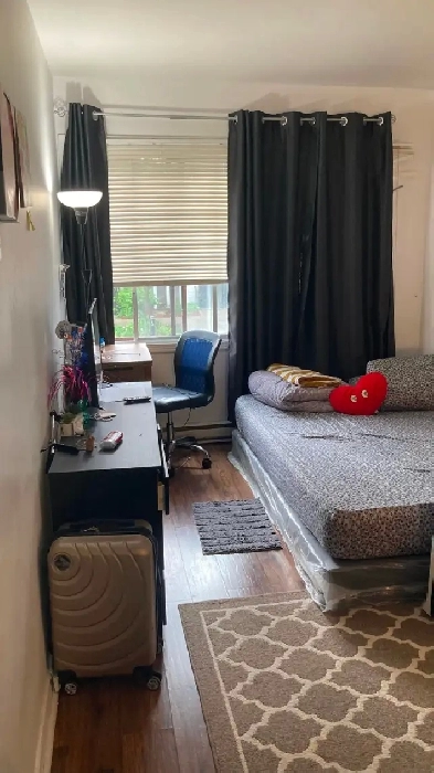 Studio de 1-1/2 sur le Plateau