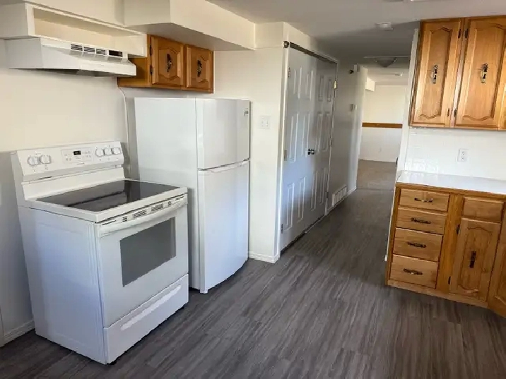 BRIGHT NORTHSIDE ONE BEDROOM BASEMENT SUITE/ JUNE 1st $1200