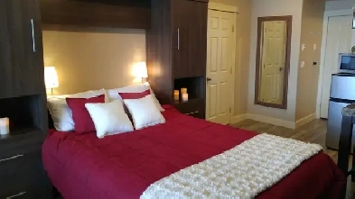 Bachelor Suite With a View