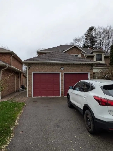 3BR Basement for Rent in Scarborough