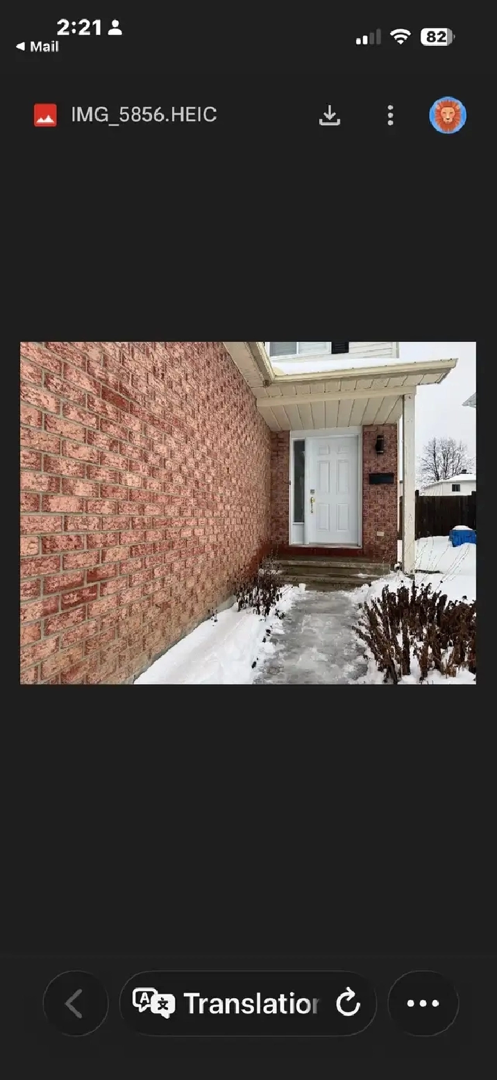 house for rent in Orleans