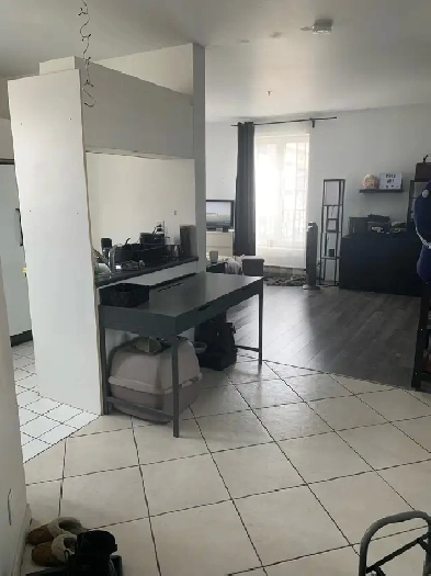 Downtown Montreal Metro Papineau luxury 2 1/2 with appliances