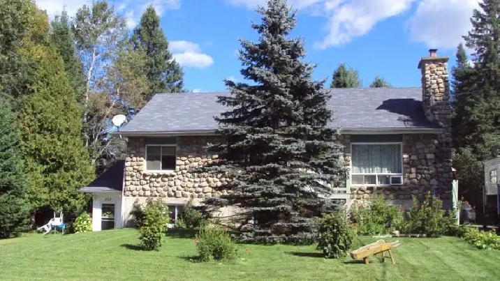 Chambre à louer / Room for rent / Mont-tremblant