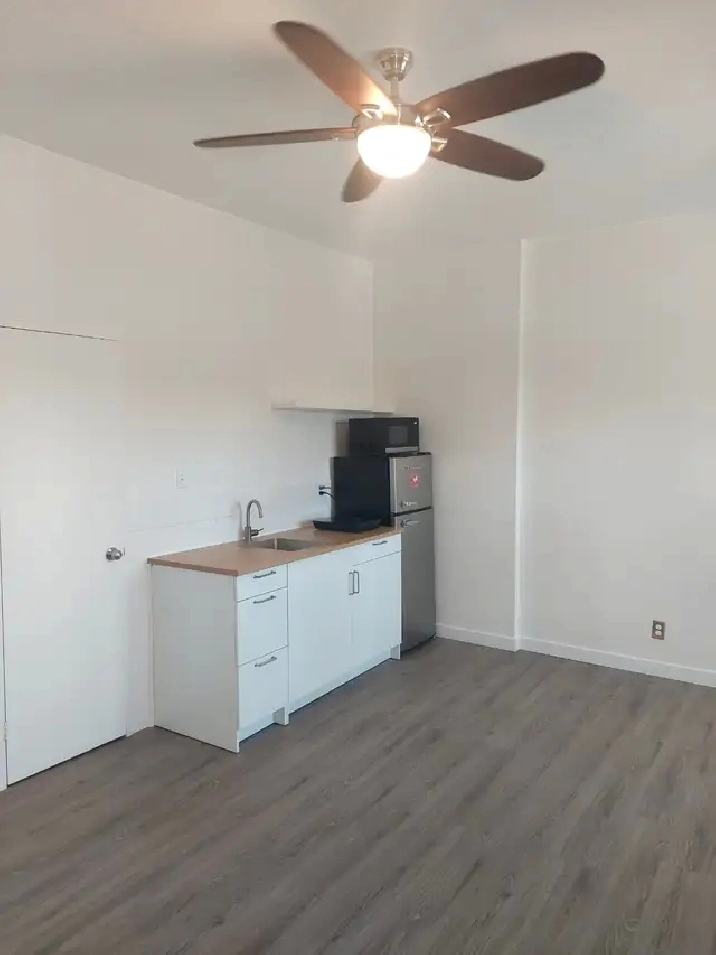 BACHELOR/STUDIO APARTMENT WITH PRIVATE ENTRANCE IN A HOUSE