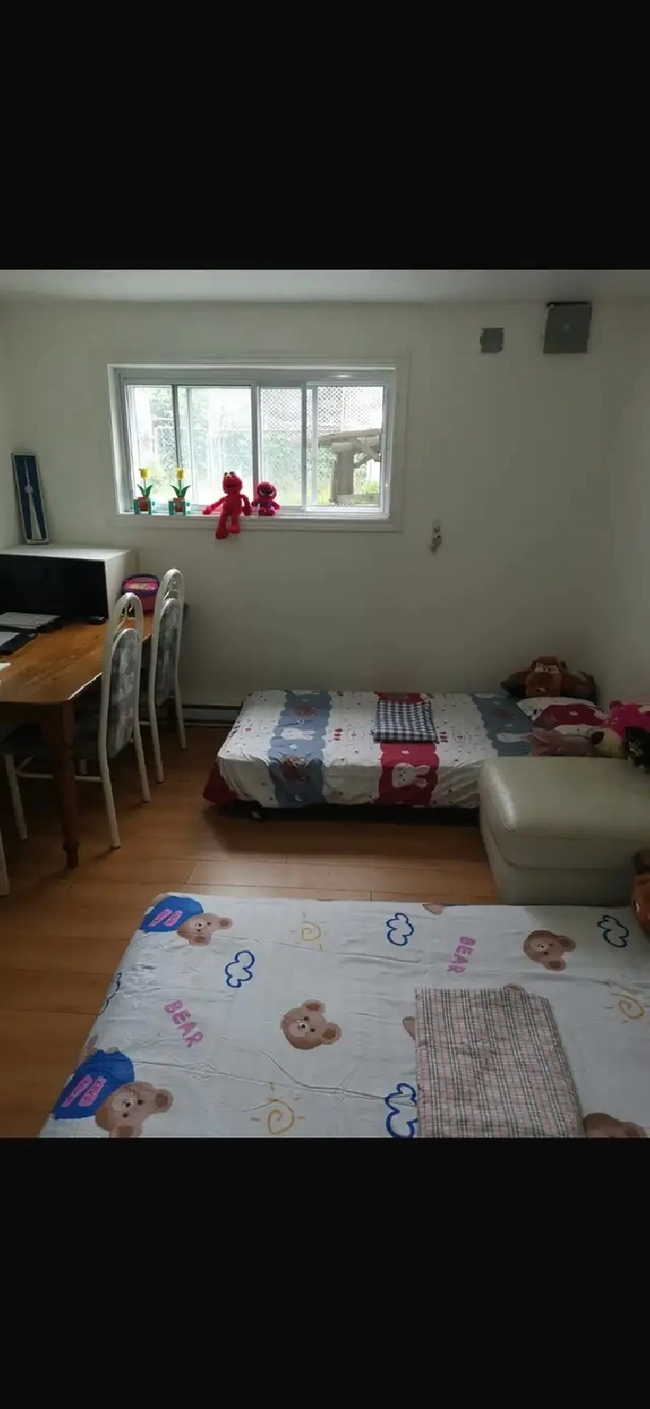 apartment à louer 1er juillet