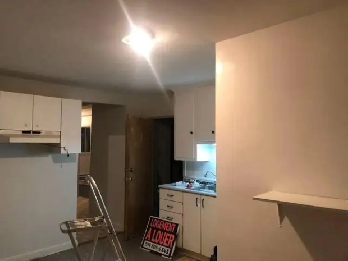 Beau 4 1/2 dans le coeur de Rosemont / La Petite Patrie