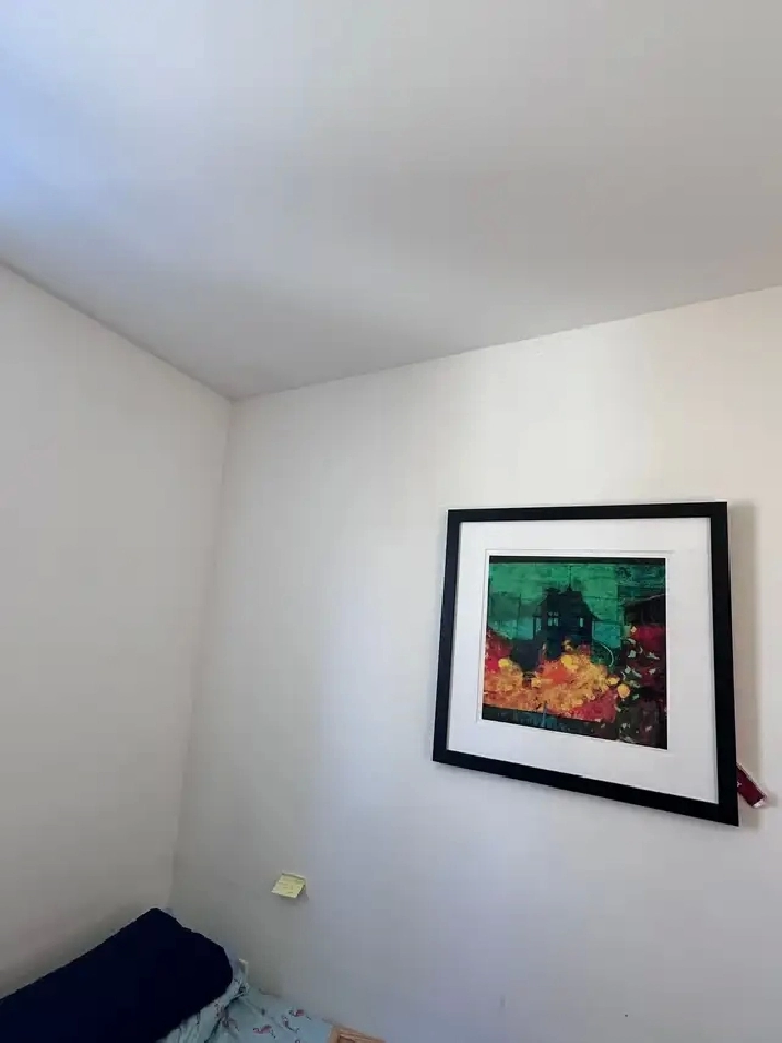 sharing room accommodation at college & bathurast from may 1st