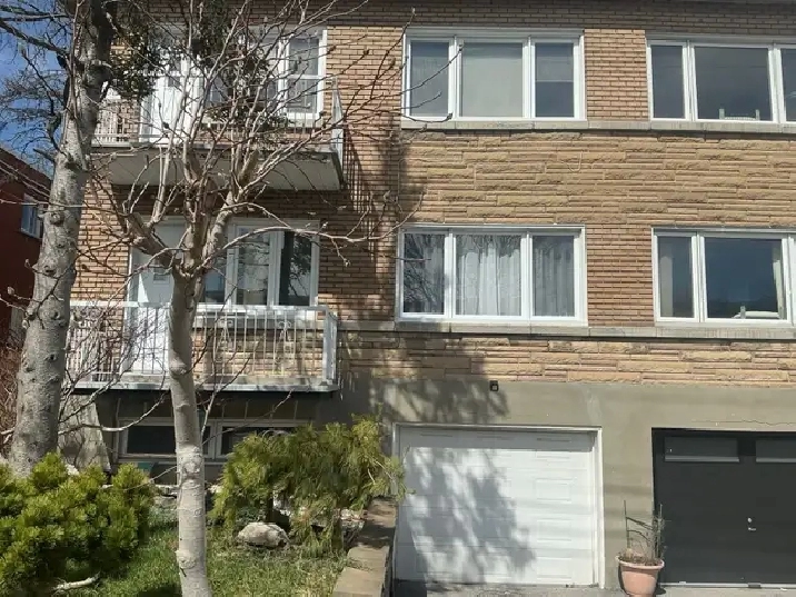 À louer 4 1/2 Renové propre Disponible immédiatement