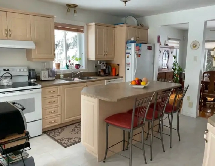 ✨ Magnifique 4 1/2 Rez-de-chaussée avec grande cour et sous-sol