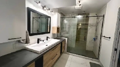 logement à louer 3 1/2 rive sud