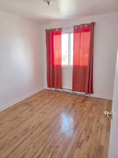 4 1/2 dans la Petite-Italie | 4 1/2 in Little Italy