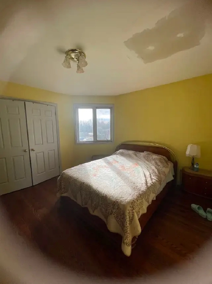 Room for rent in large Italian 2 storey home at Yonge & Finch.