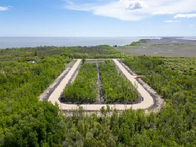 LAKE WINNIPEG BUILDING LOTS