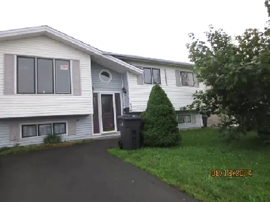 One Bedroom Basement Apartment