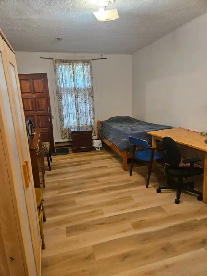 Grand 1.5 a louer dans le secteur de Decarie/Chemin Queen Mary