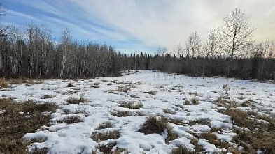 Perfect acerage for sale!