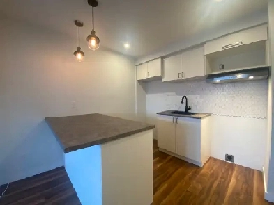 3 1/2 rénové dispo le 1er juillet