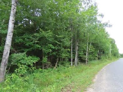 Land for Sale!  54 acres to 100 acres, to 250 acres to 700 acres