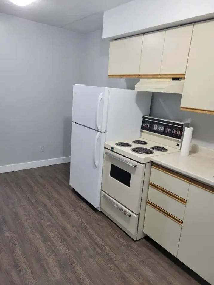 Bachelor Available for June in Minnow Lake