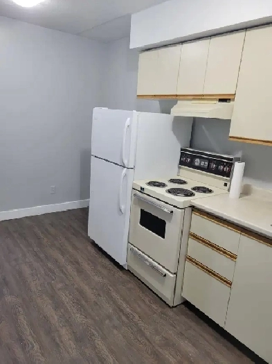 Bachelor Available for June in Minnow Lake