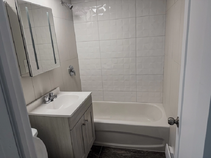 4½ Rosemont | 1.5 Bath | New   Renovated | $1600
