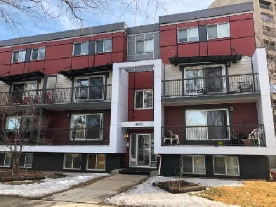 1 bedroom apartment for rent downtown in an Adult only building