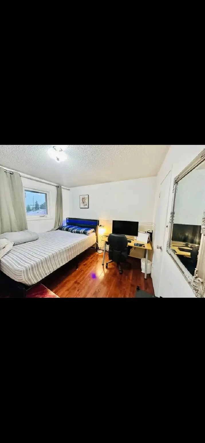 Private bedroom for rent