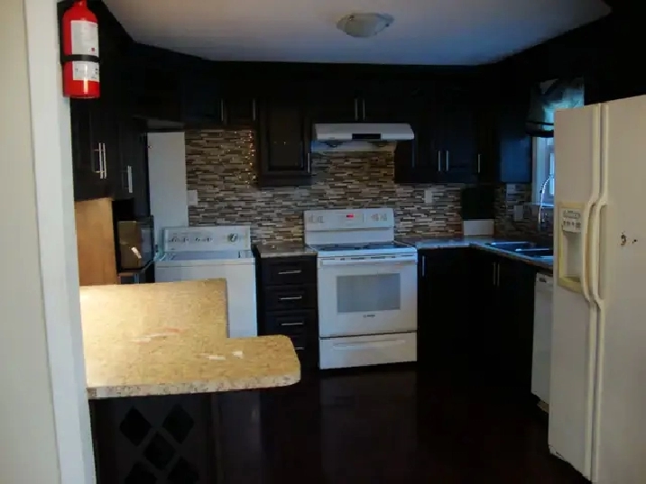 Rooms close to UTSC for rent