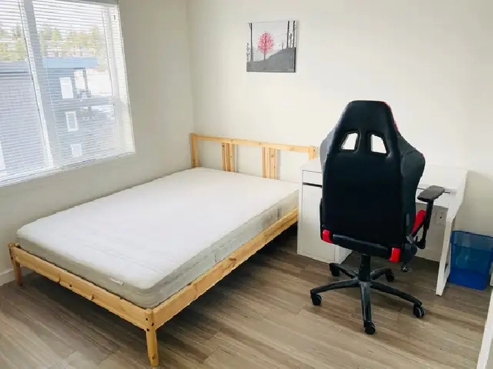 U3 Academy Way 2b2b Room for Rent