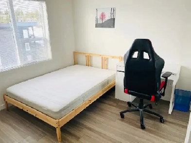 U3 Academy Way 2b2b Room for Rent