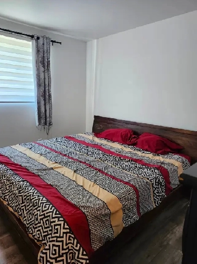 Grand 4 1/2 beau West Island