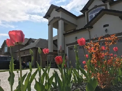 New House Room for Rent on West Mountain