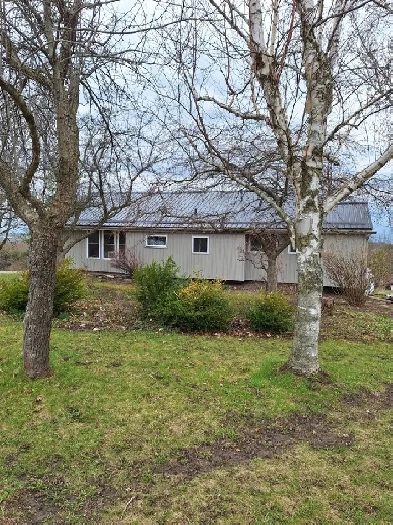 3 bedroom   1.5 bath home forsale