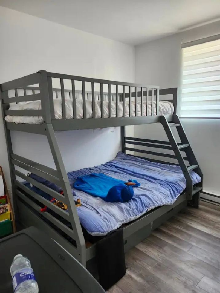 Style Condo 4 1/2 beau West Island