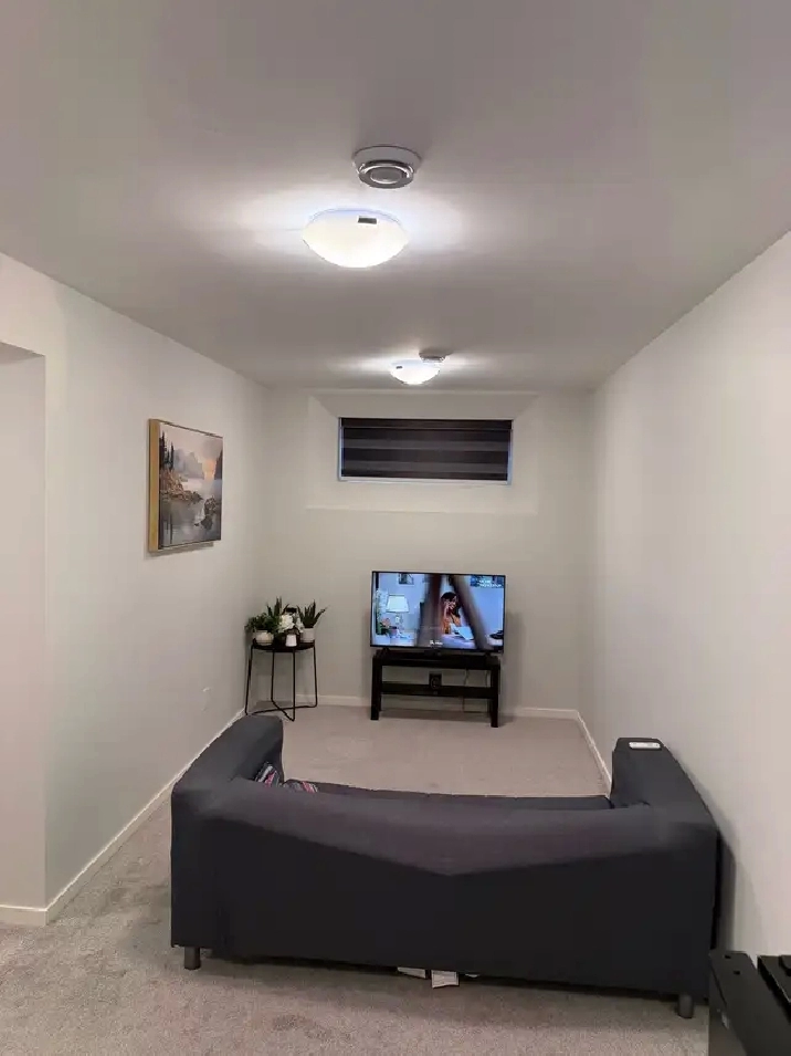 Furnished 1 Bedroom Basement condo