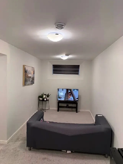 Furnished 1 Bedroom Basement condo